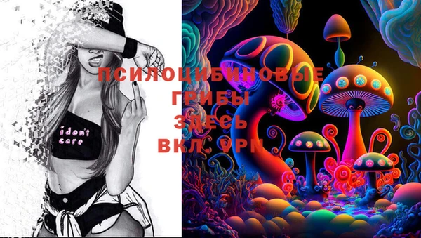 дживик Киров