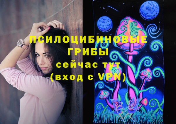 apvp Волоколамск